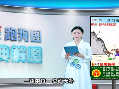 第262期新澳门六合彩跑狗图每期视频讲解与分析